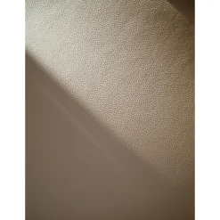 Alison tuoli valkolakattu tammijalka / beige nahka