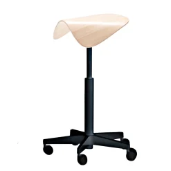 BW Saddle Chair aktiivituoli, Saarni/musta