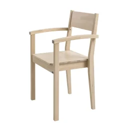 Joki tuoli käsinojilla
